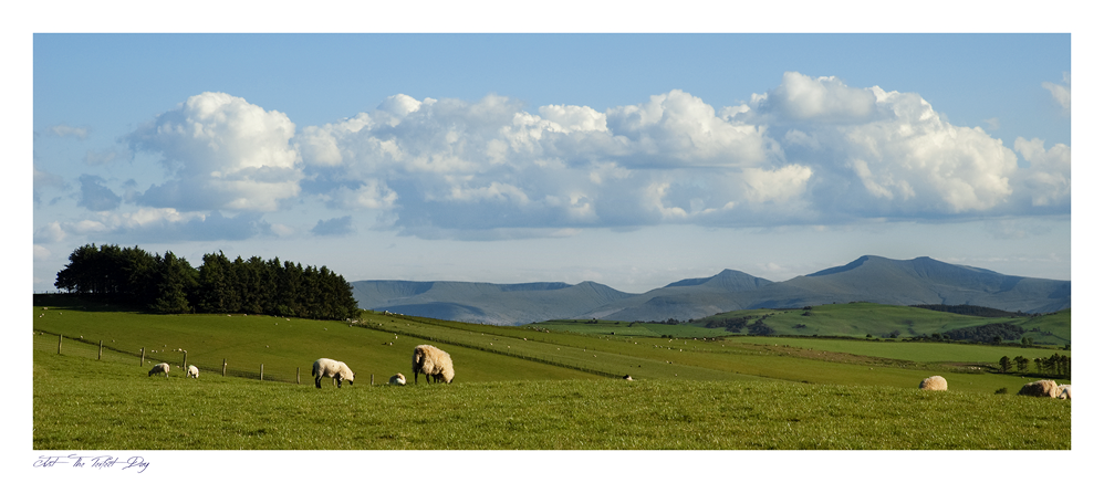 images from wales - Ian Nicholson Photography - Builth Wells